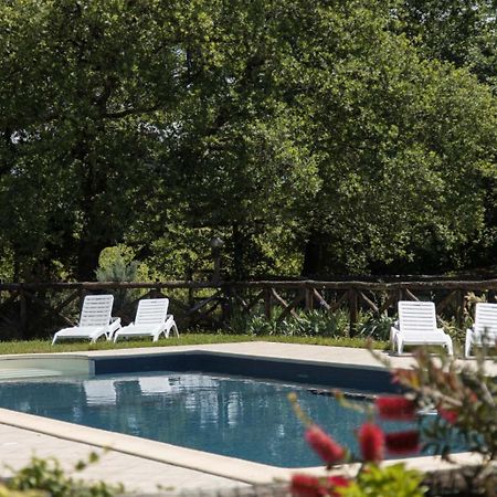 Agriturismo Le Baccane Vinci Exterior photo