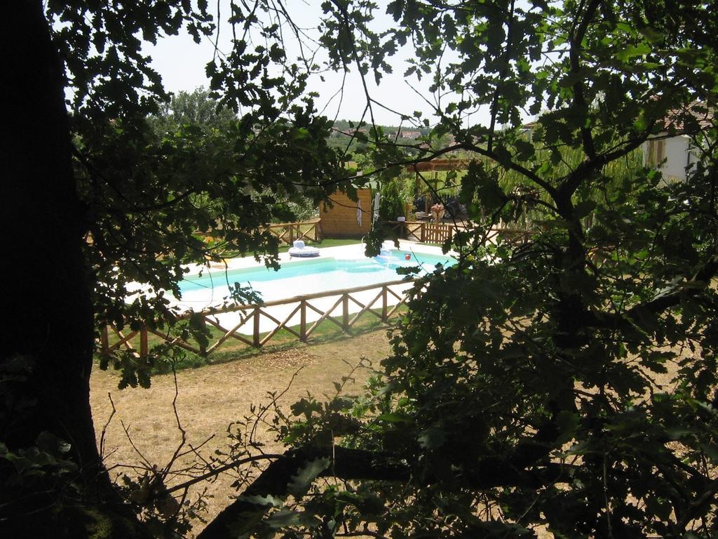 Agriturismo Le Baccane Vinci Exterior photo