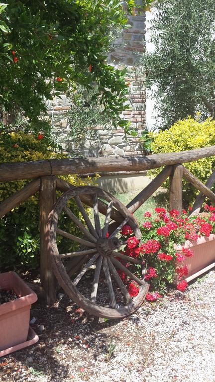 Agriturismo Le Baccane Vinci Exterior photo